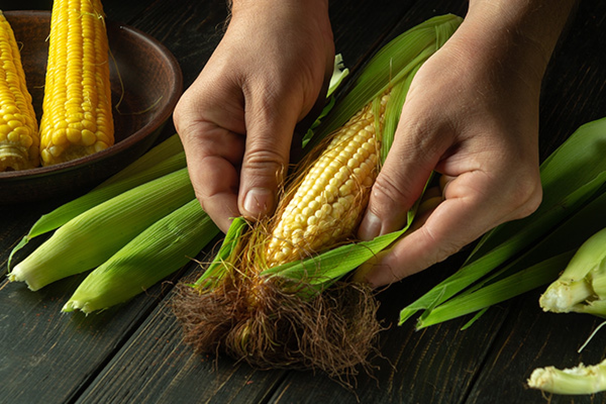 Campaña Maíz 25/26