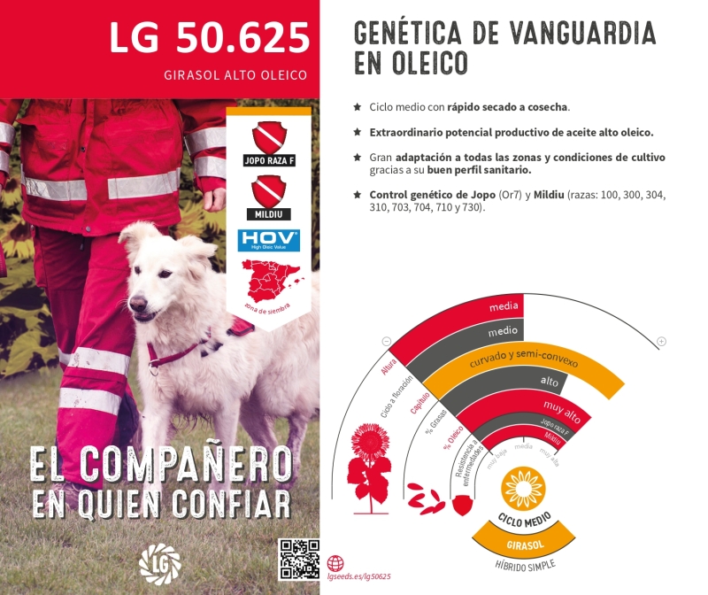 LG 50.625