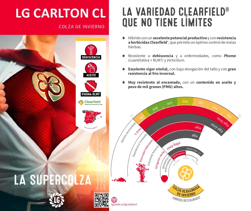 LG CARLTON CL