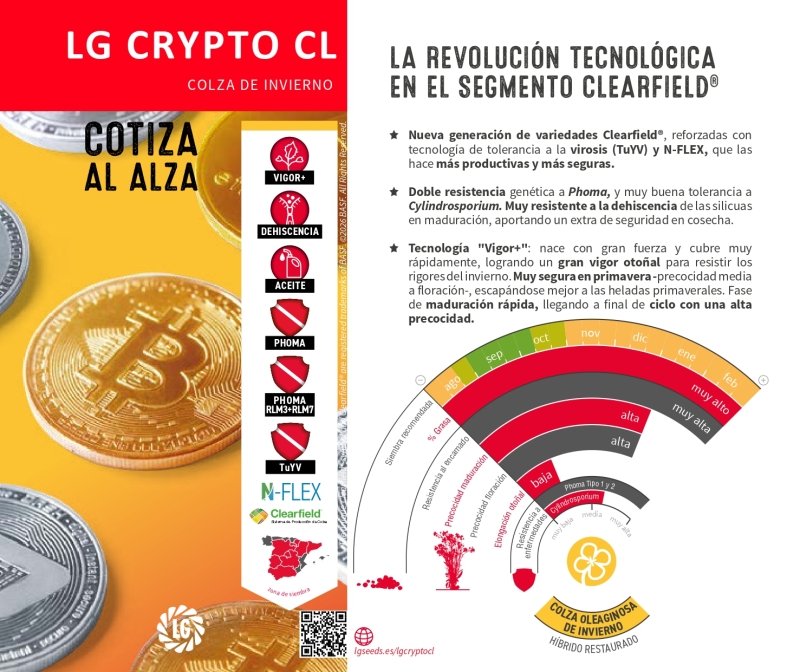LG CRYPTO CL