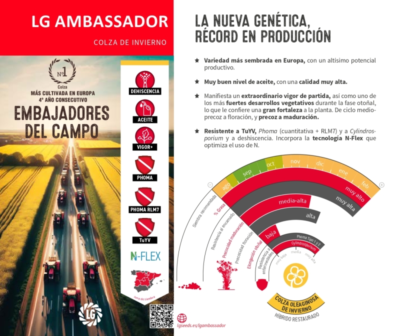 LG AMBASSADOR