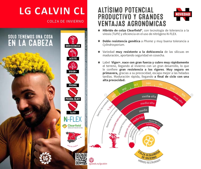 LG CALVIN CL