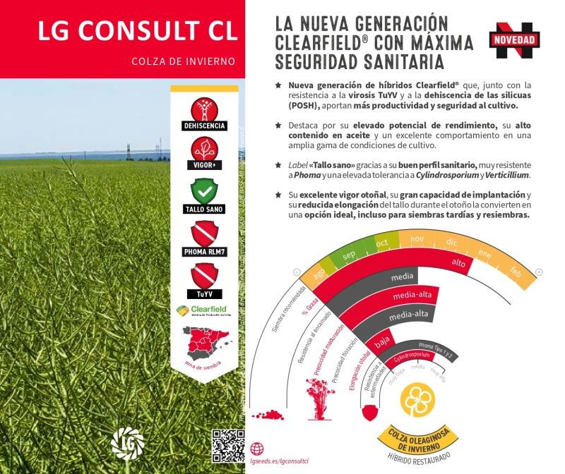 LG CONSULT CL
