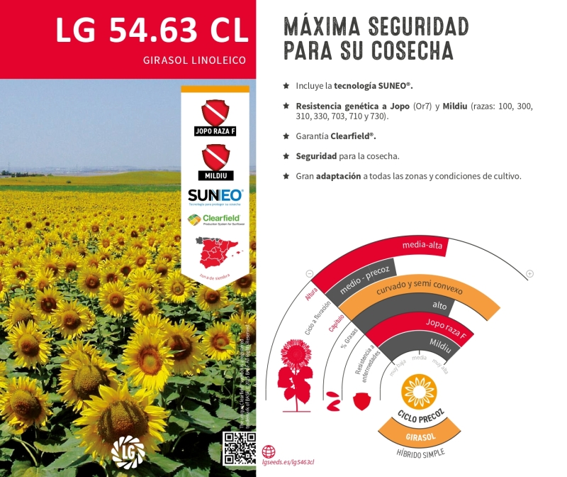 LG 54.63 CL