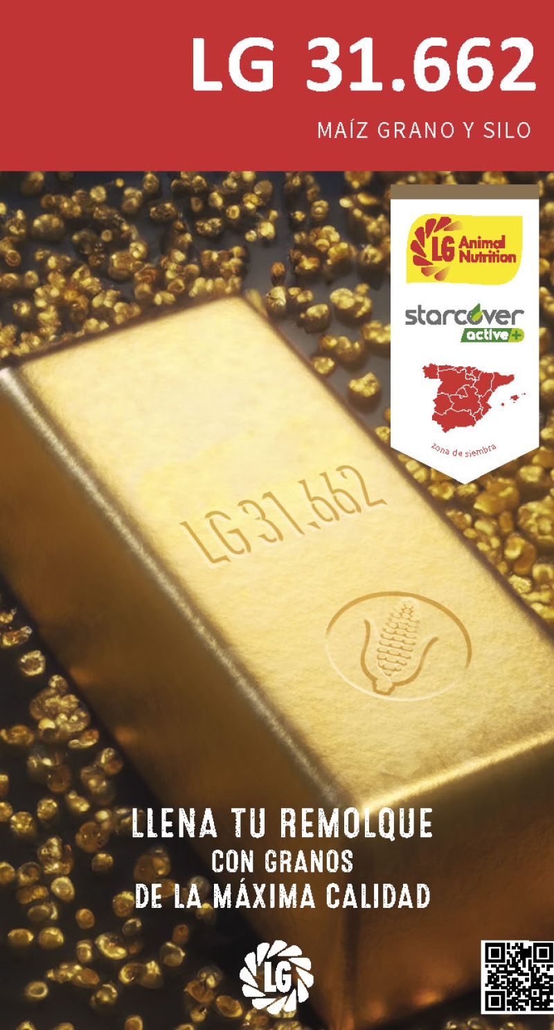 LG 31.662