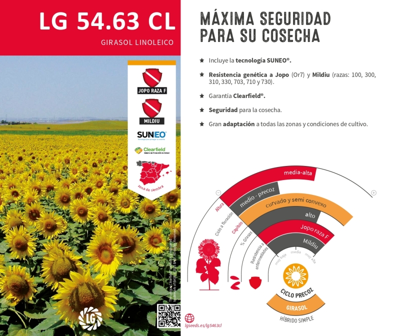 LG 54.63 CL