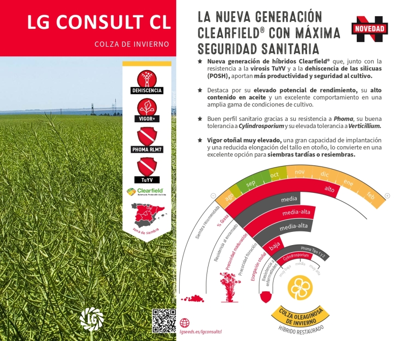 LG CONSULT CL