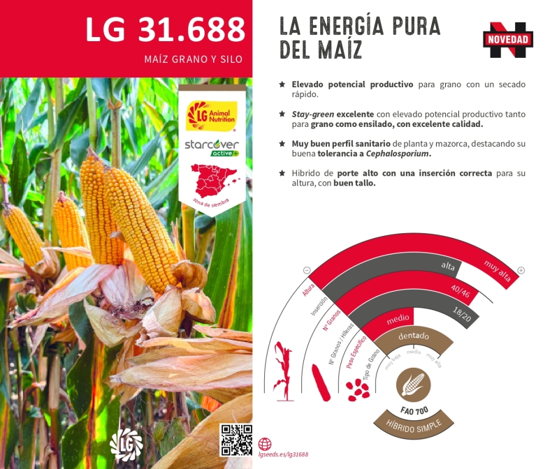 LG 31.688
