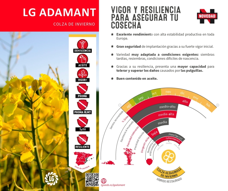 LG ADAMANT