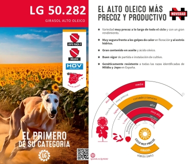 LG 50.282