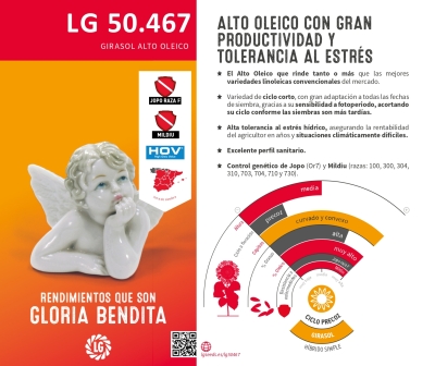LG 50.467
