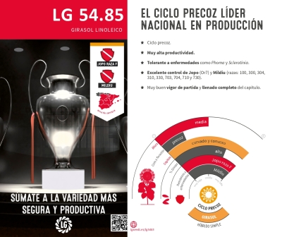 LG 54.85