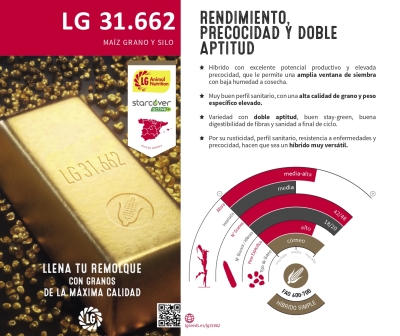 LG 31.662 - Dosete
