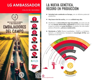 LG AMBASSADOR