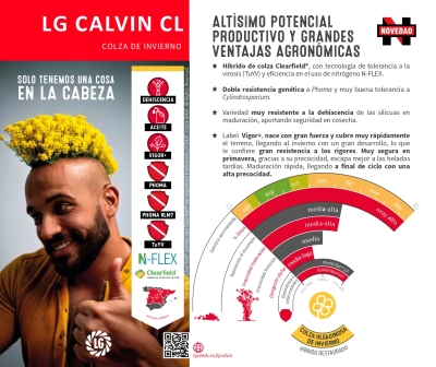 LG CALVIN CL