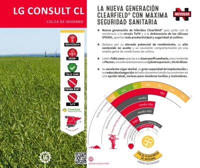 LG CONSULT CL
