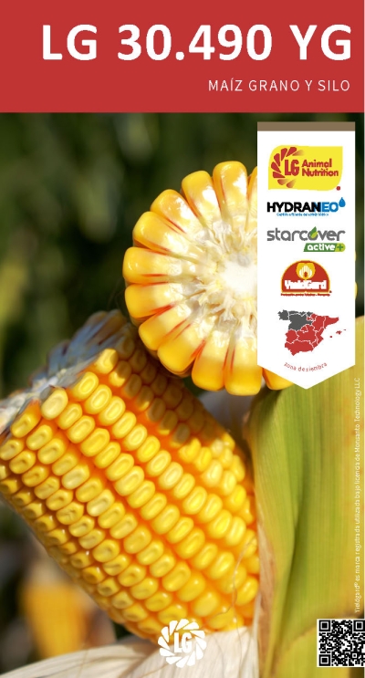 LG 30.490 YG