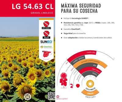 LG 54.63 CL