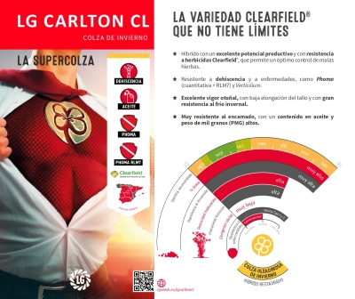 LG CARLTON CL