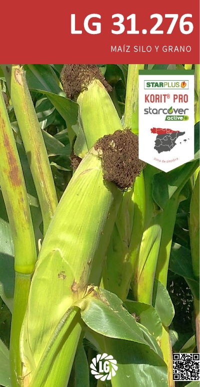 LG 31.276