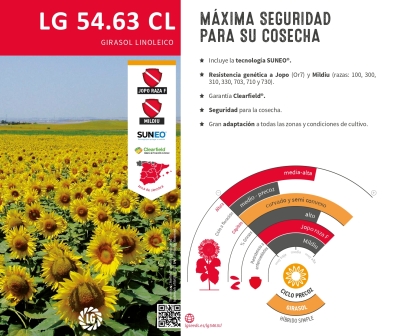 LG 54.63 CL