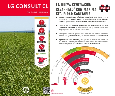 LG CONSULT CL