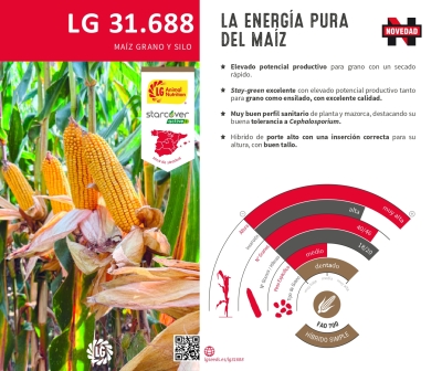 LG 31.688