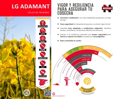 LG ADAMANT