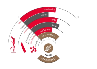 LG 31.440 LIMODOR - Dosete