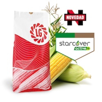 LG 31.688