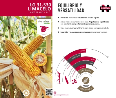 LG 31.530 LIMACELO - Dosete