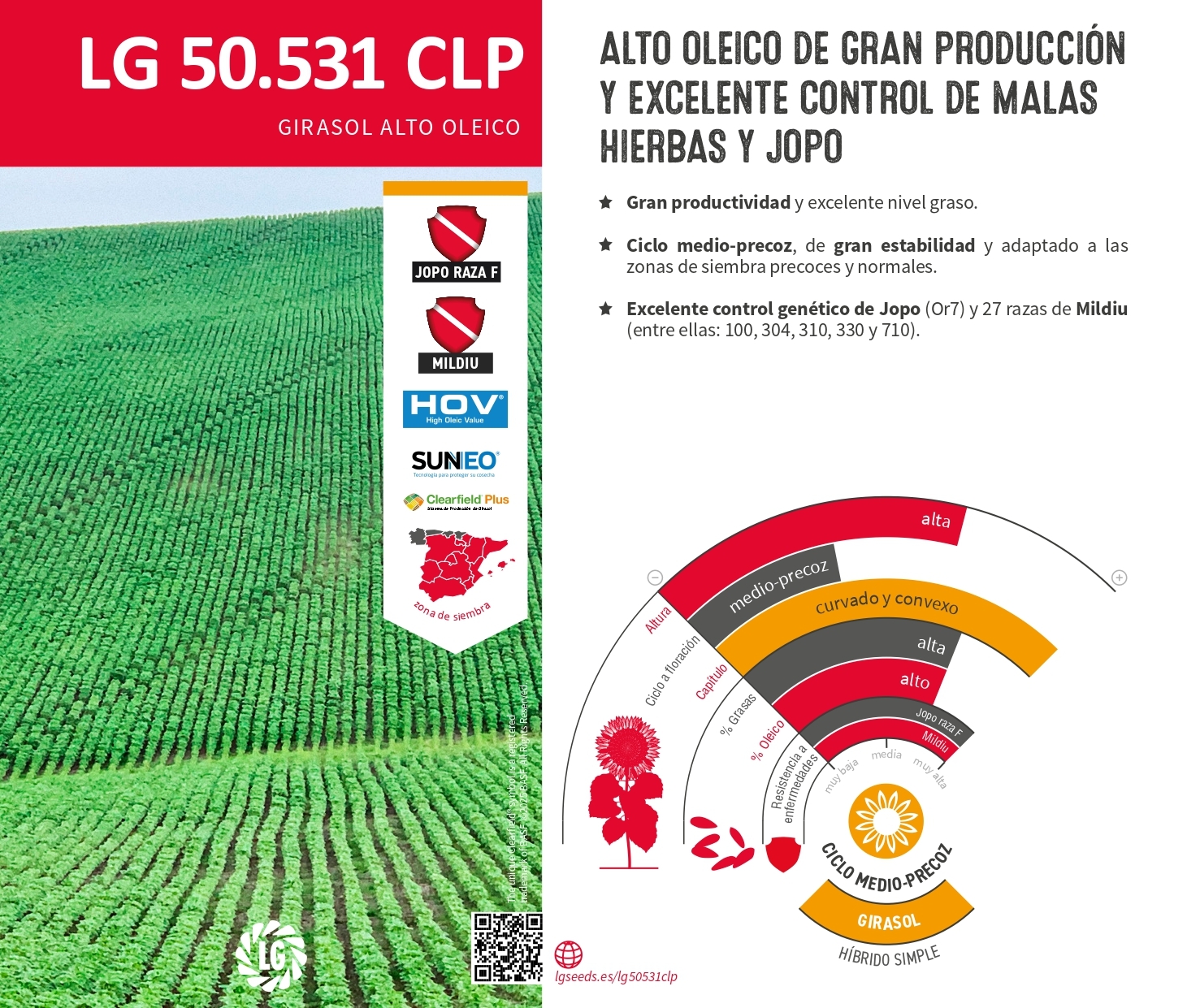 LG 50.531 CLP