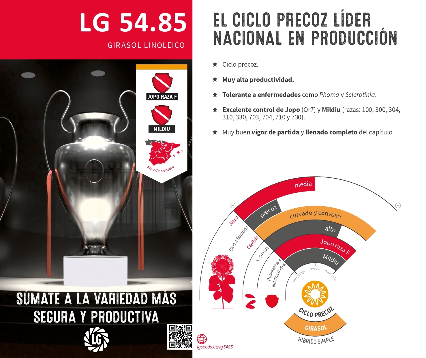 LG 54.85