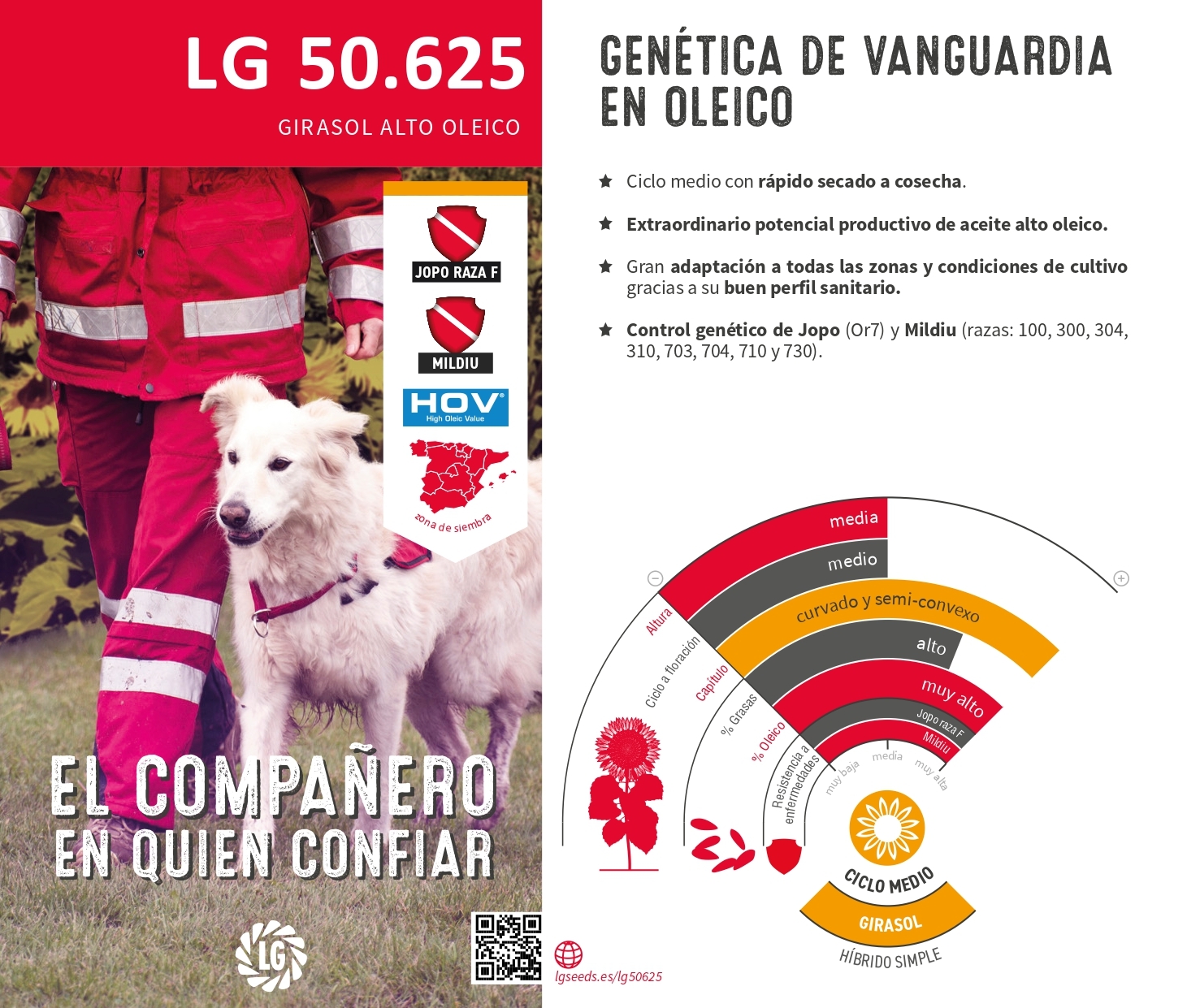 LG 50.625