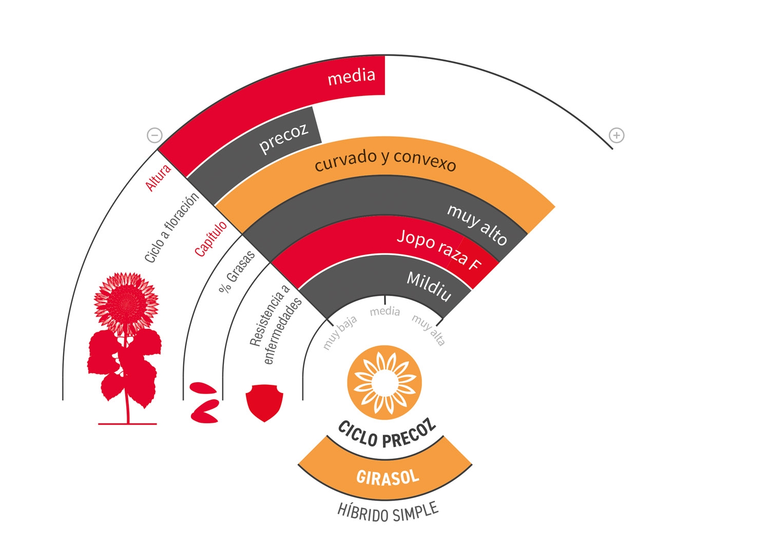 LG 50.469 SX - Dosete