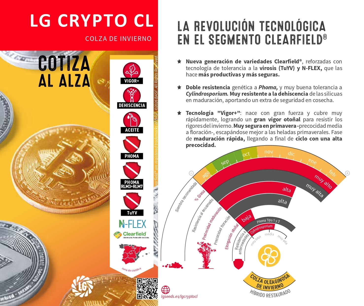 LG CRYPTO CL