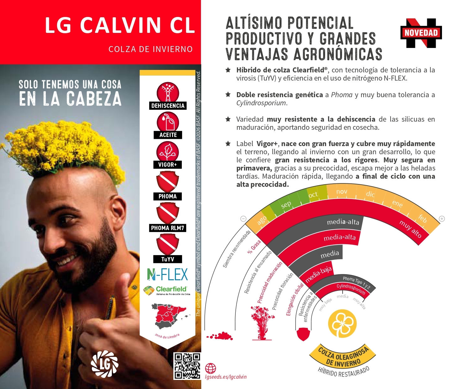 LG CALVIN CL