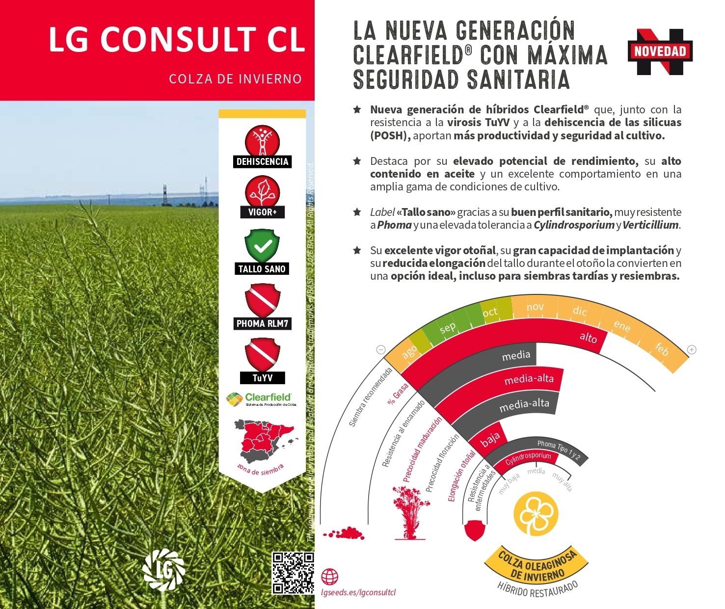 LG CONSULT CL