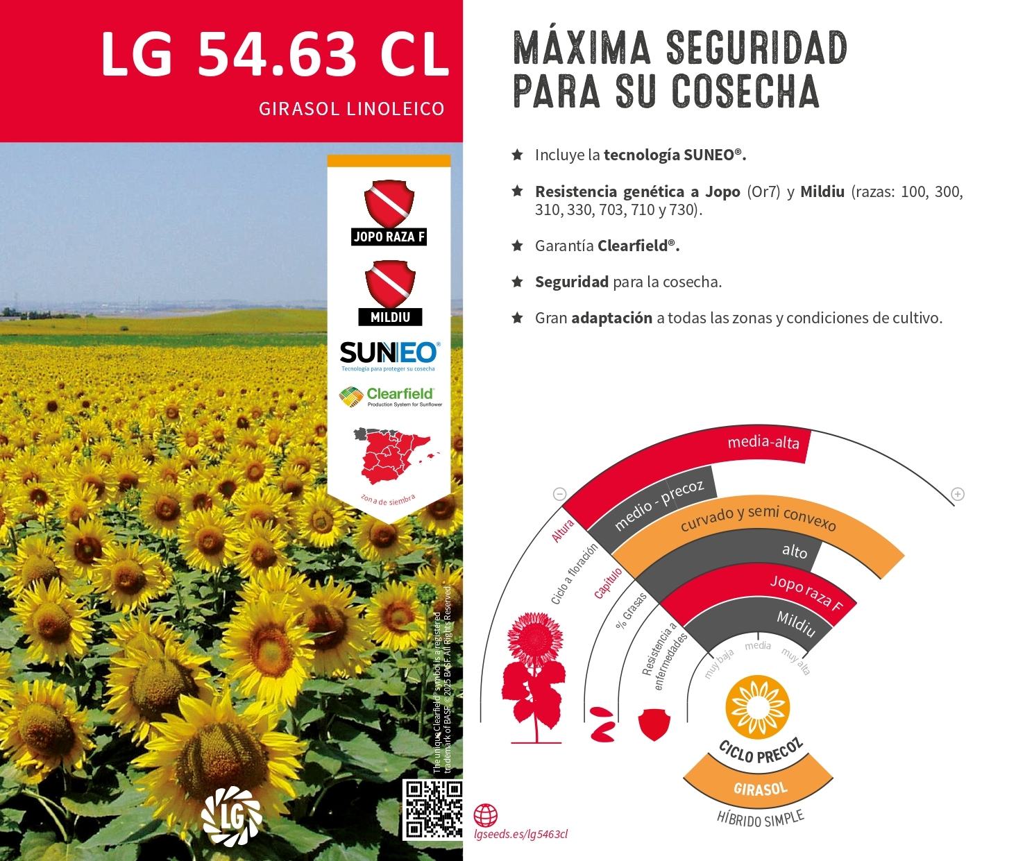 LG 54.63 CL