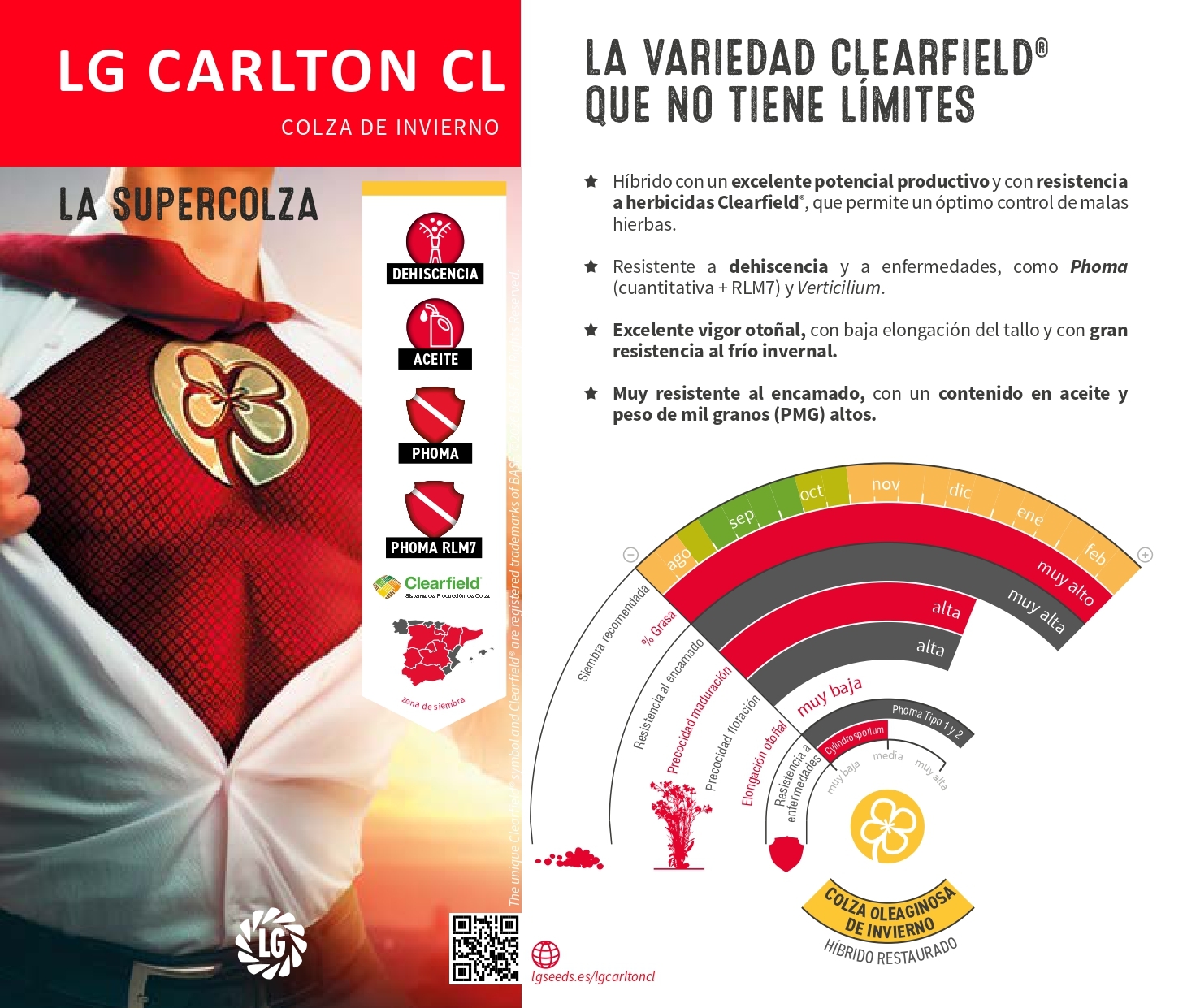 LG CARLTON CL