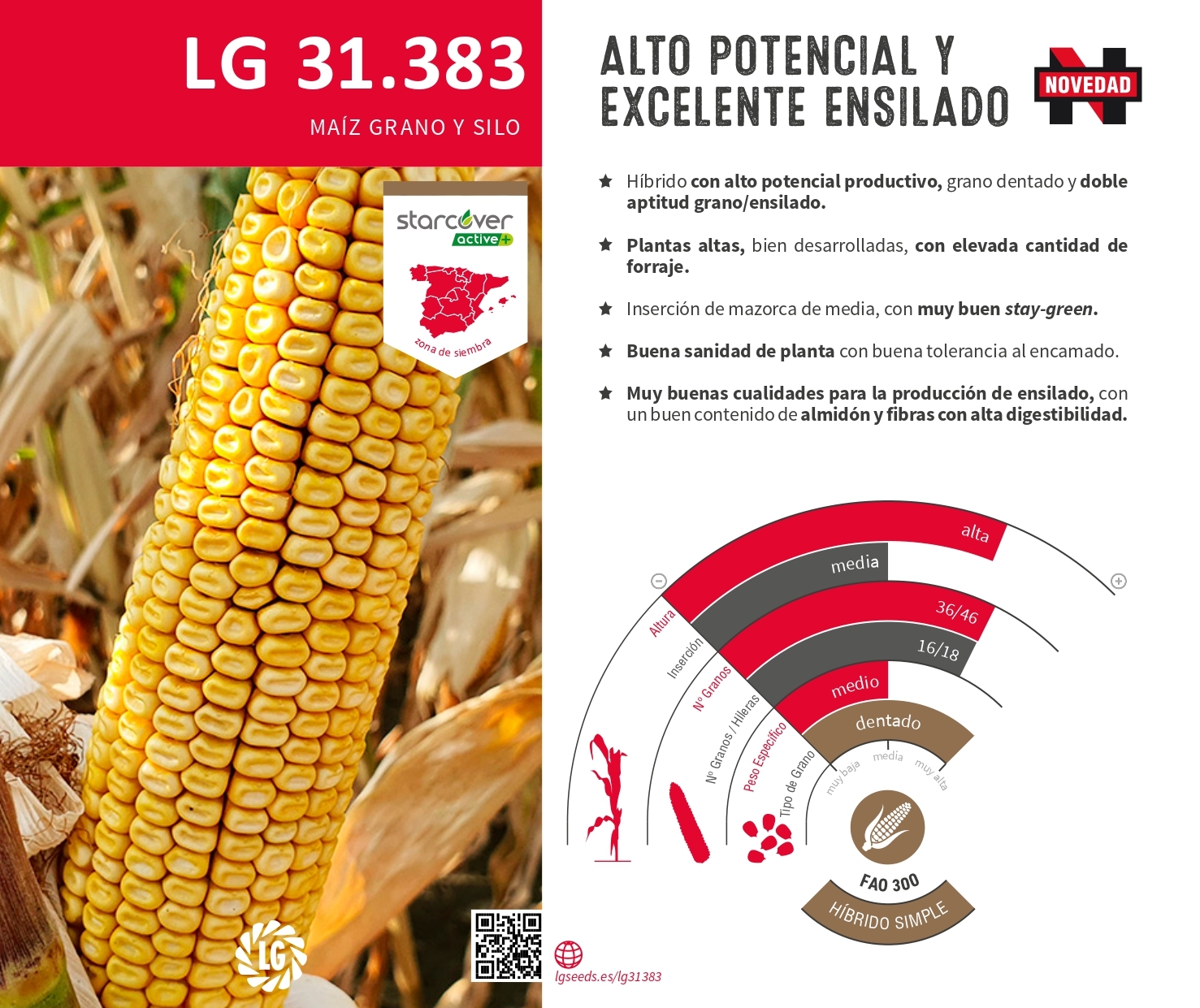 LG 31.383
