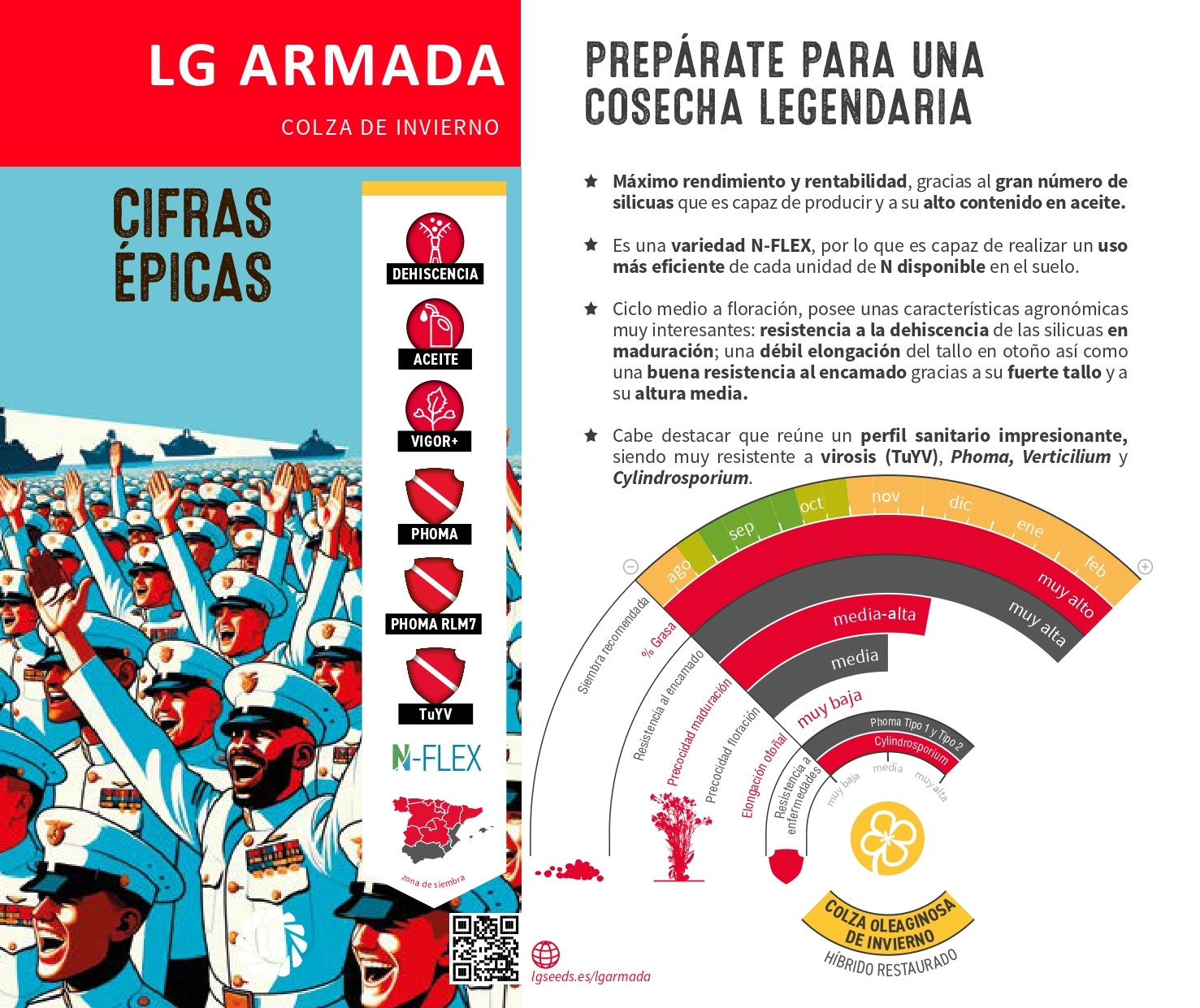 LG ARMADA