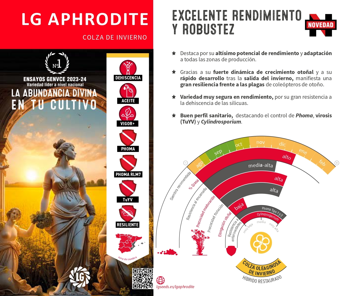 LG APHRODITE