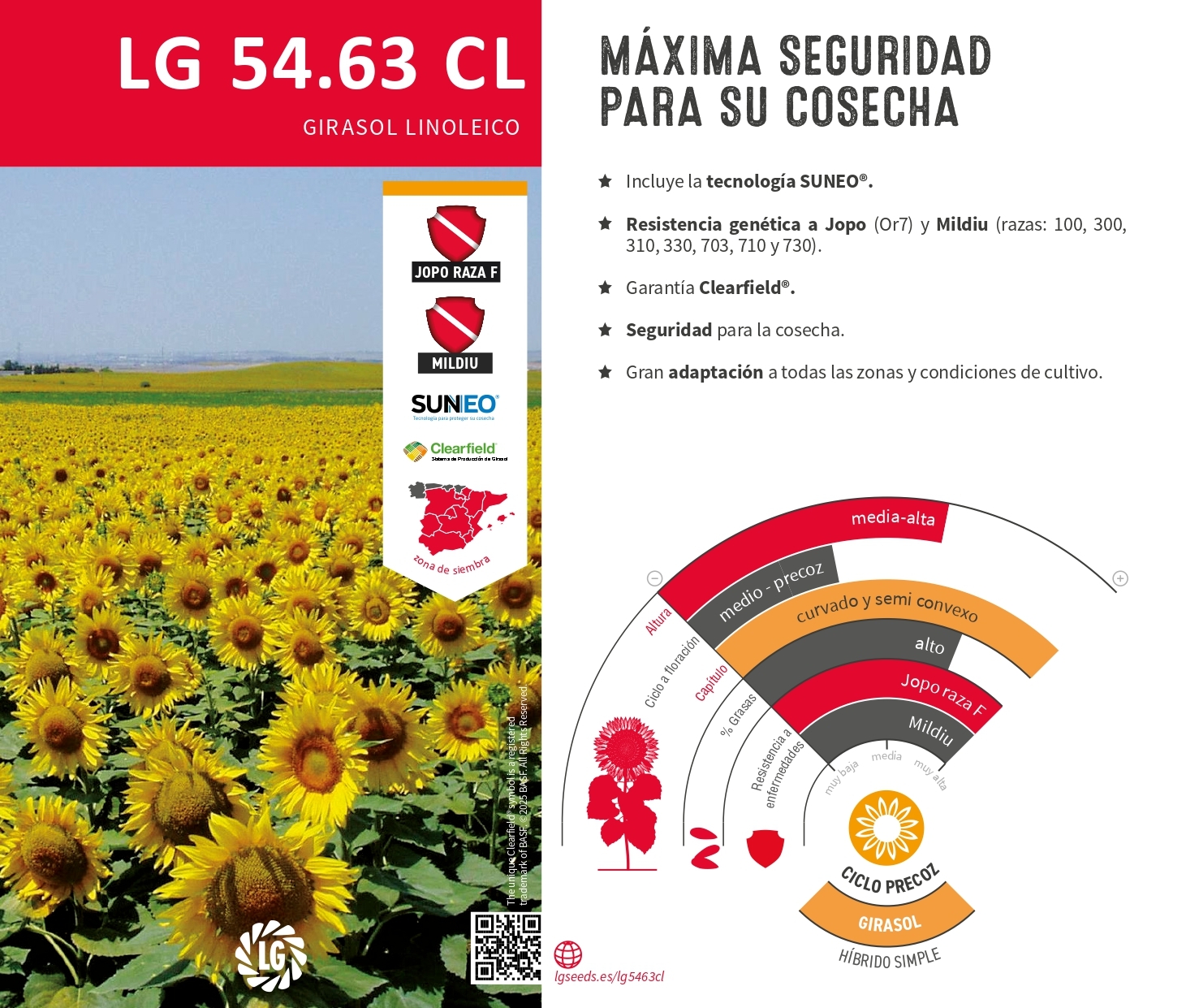 LG 54.63 CL