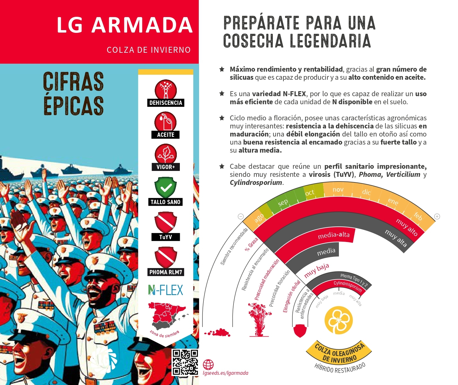 LG ARMADA