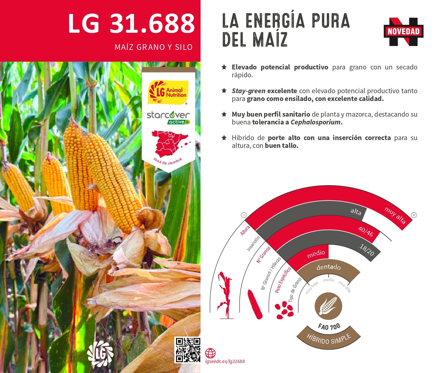 LG 31.688