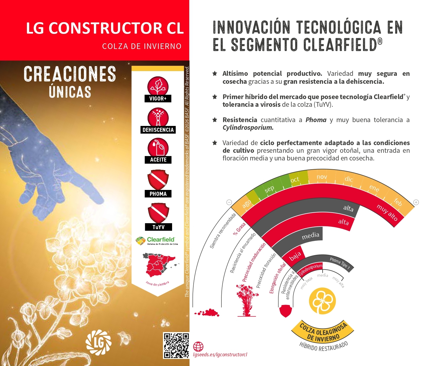 LG CONSTRUCTOR CL